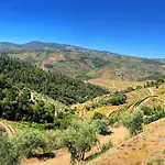 컨트리하우스 Quinta Da Salgueira *