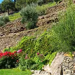 컨트리하우스 Quinta Da Salgueira