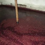 Quinta Da Salgueira