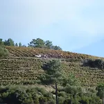 컨트리하우스 Quinta Da Salgueira *