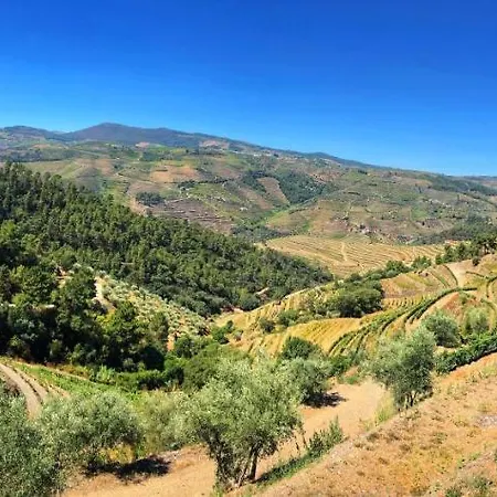 カントリーハウス Quinta Da Salgueira *