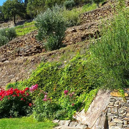 カントリーハウス Quinta Da Salgueira