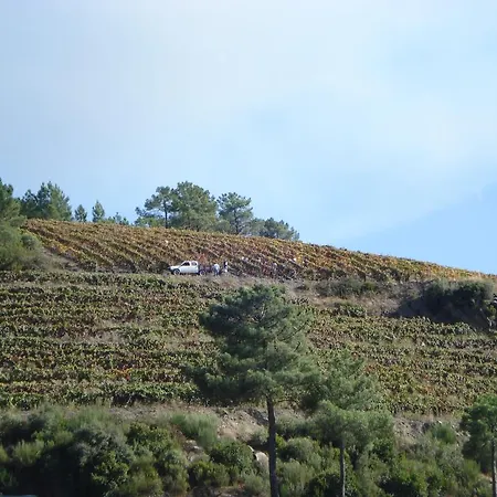 カントリーハウス Quinta Da Salgueira *