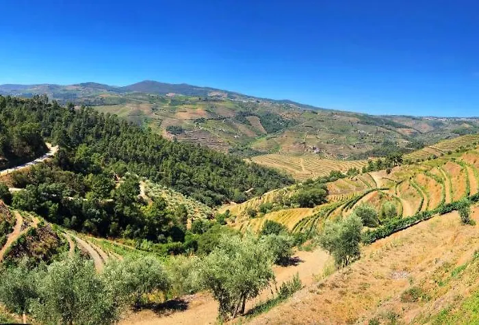 乡村民宿 Quinta Da Salgueira *