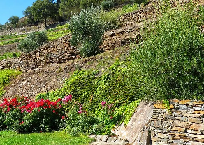 Летний дом Quinta Da Salgueira