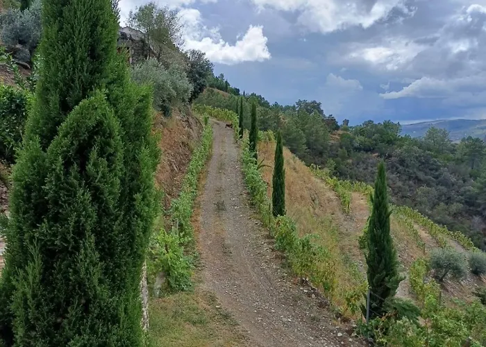 Quinta Da Salgueira Летний дом *