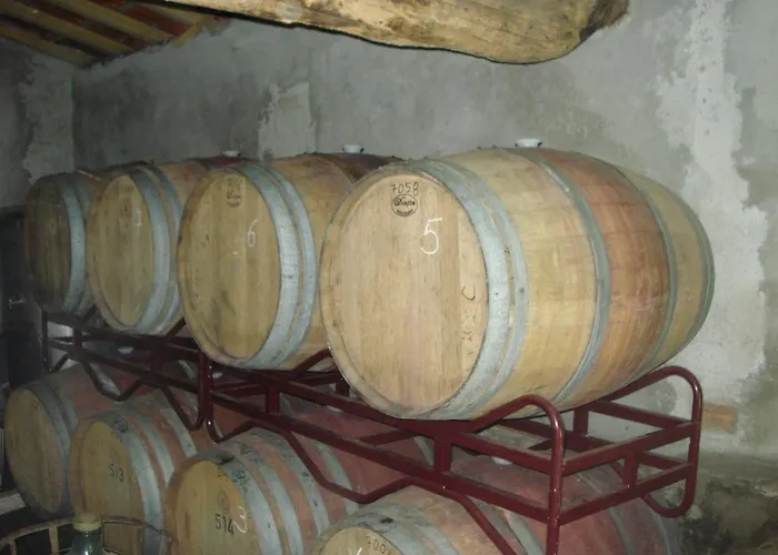 Quinta Da Salgueira Летний дом Алижо