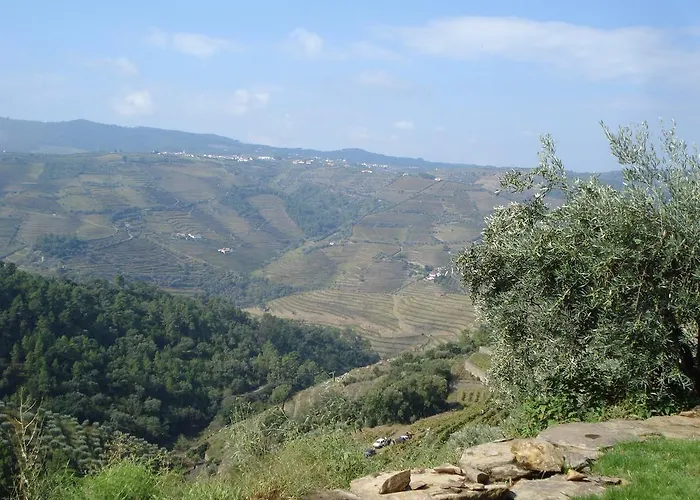 Quinta Da Salgueira Алижо