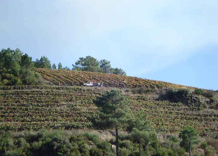 Летний дом Quinta Da Salgueira *